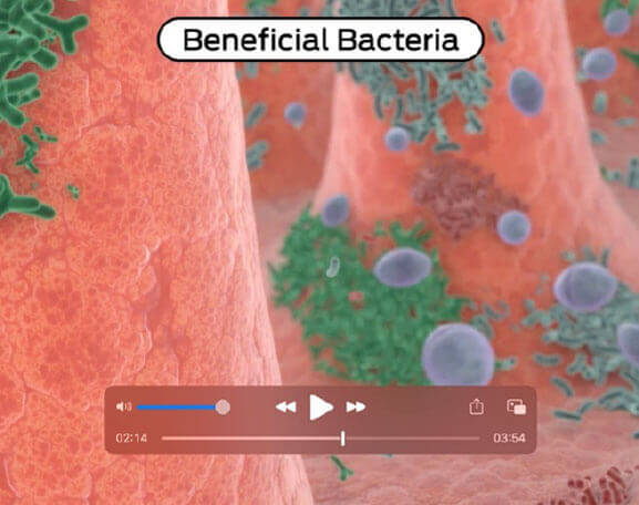 PRO PLAN® FortiFlora®. Modalità di azione