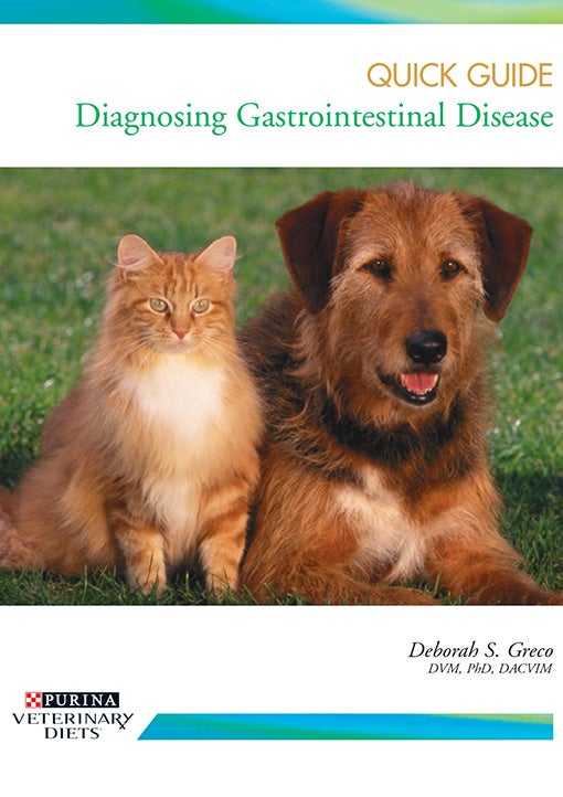 Deborah Greco: Diagnosing Gastrointestinal Disease