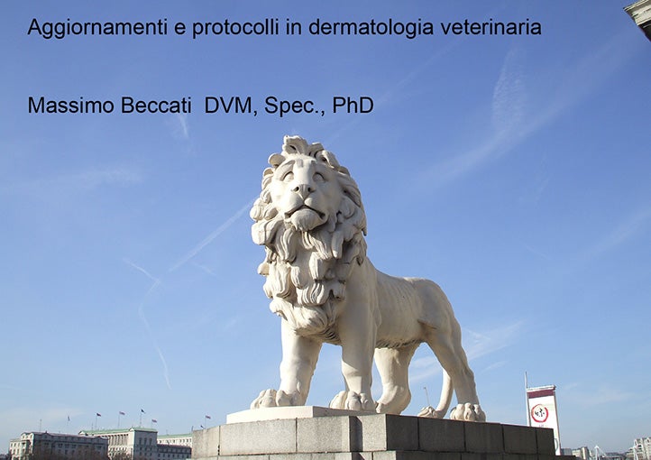 Dr. Massimo Beccati: Aggiornamenti e protocolli in dermatologia veterinaria