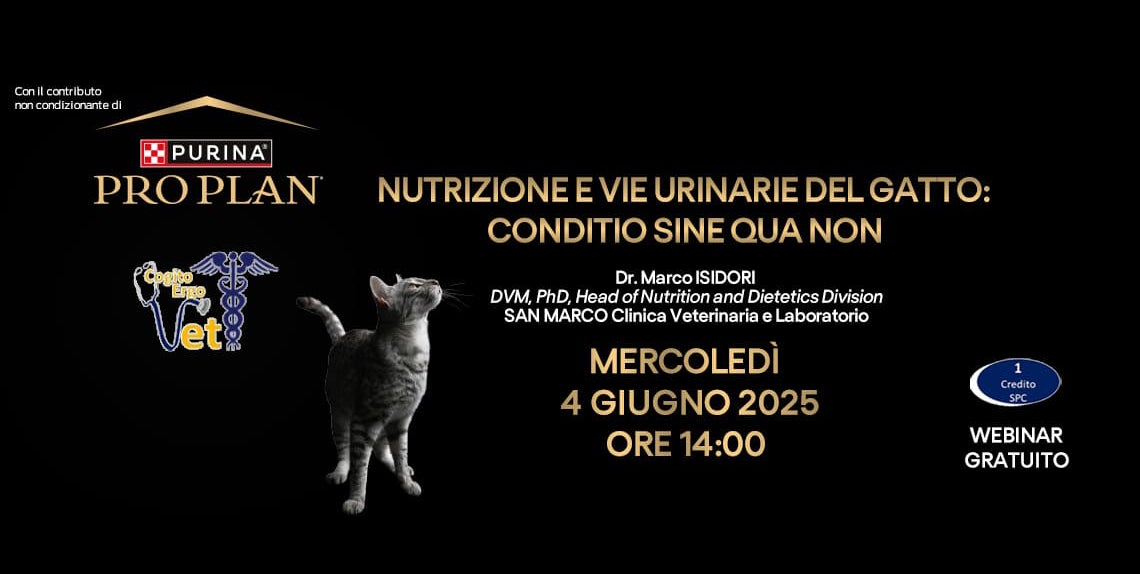 Nutrizione e vie urinarie del gatto