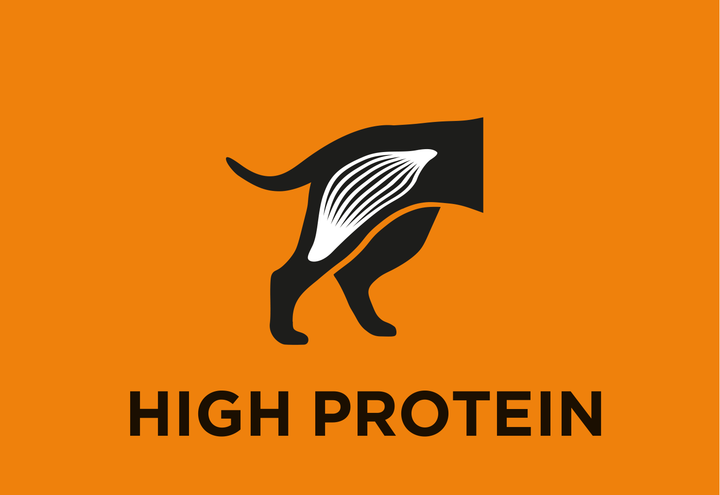 Alto livello di proteine