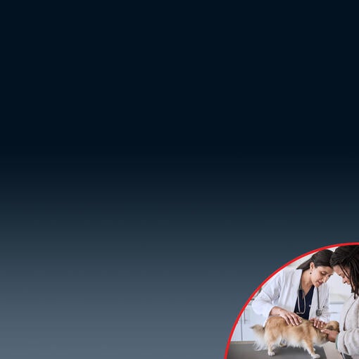 Nutrizione e dermatologia