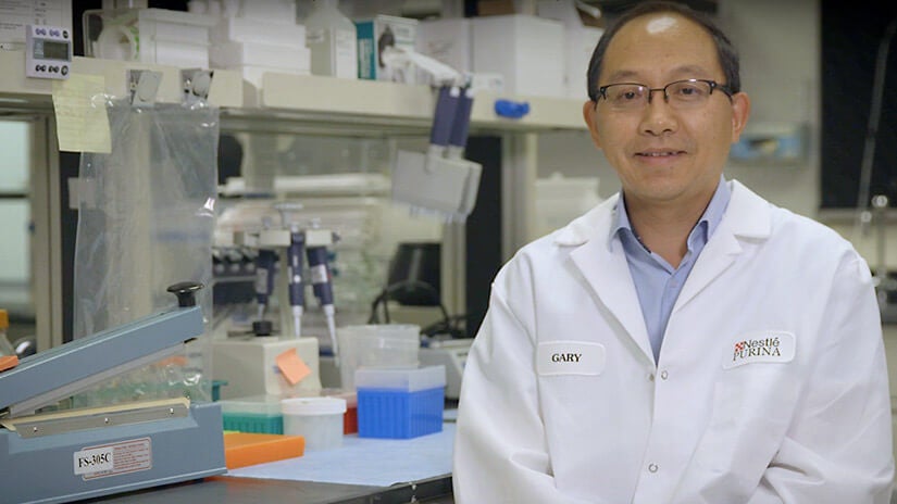 Gary Pan, scienziato di Purina, spiega come l'invecchiamento influisce sul cervello dei pet e come l'alimentazione aiuta.